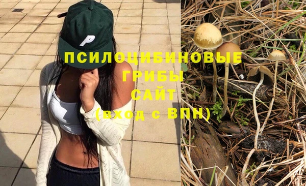 дурь Балахна