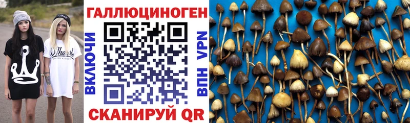 Псилоцибиновые грибы прущие грибы  Губаха 