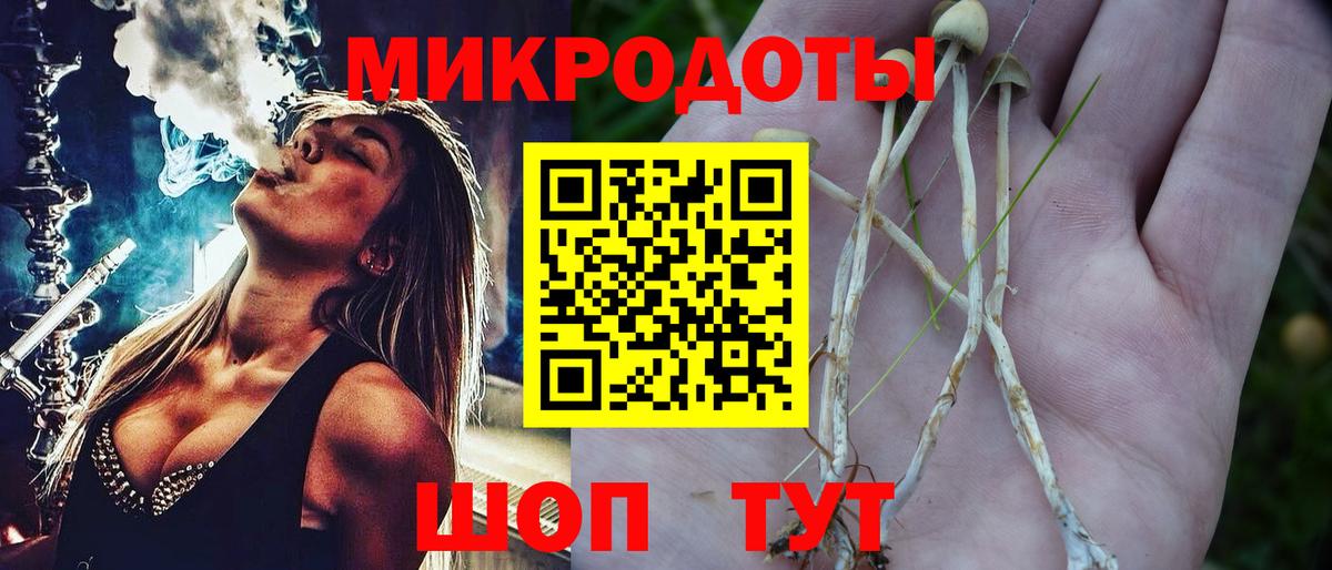 Галлюциногенные грибы прущие грибы Губаха